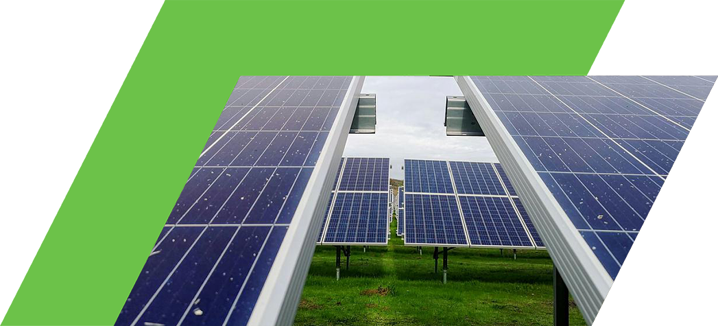 A perspective view of solar panels in a green field under a cloudy sky.