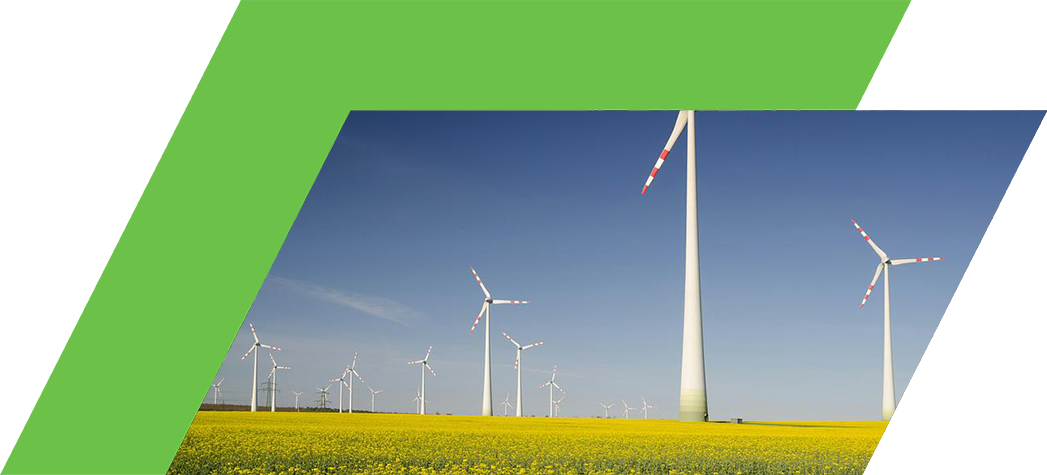 A landscape featuring multiple wind turbines against a clear blue sky and a field of yellow flowers.