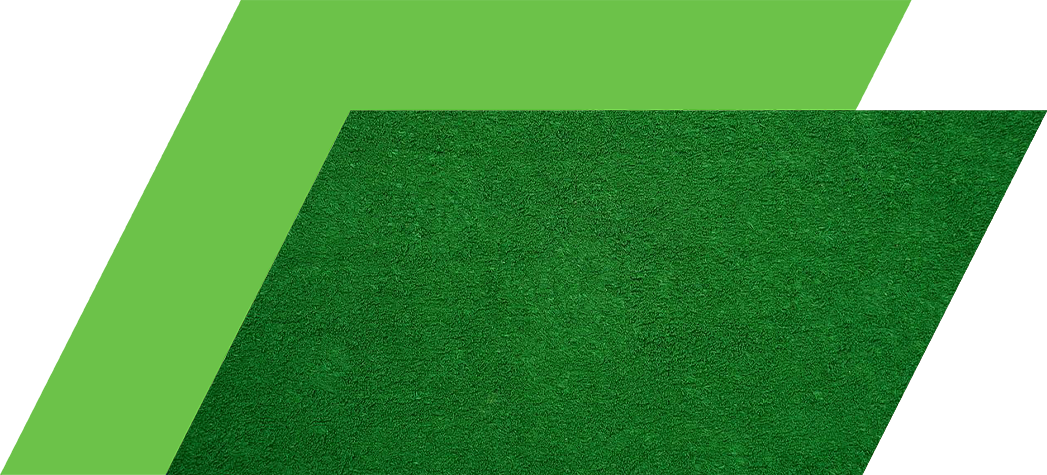 A textured surface of vibrant green.