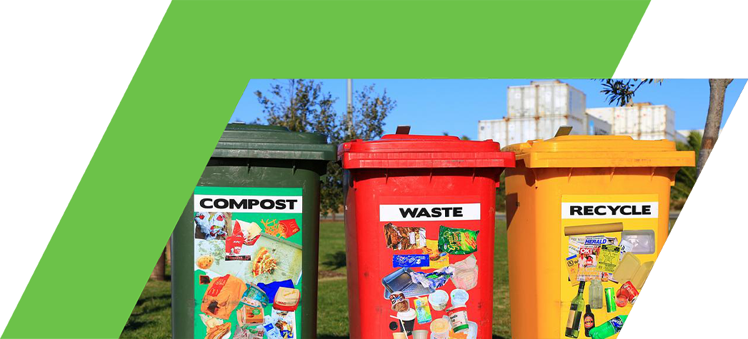 Three colorful trash bins labeled "Compost," "Waste," and "Recycle," each displaying images of items that should go in them.