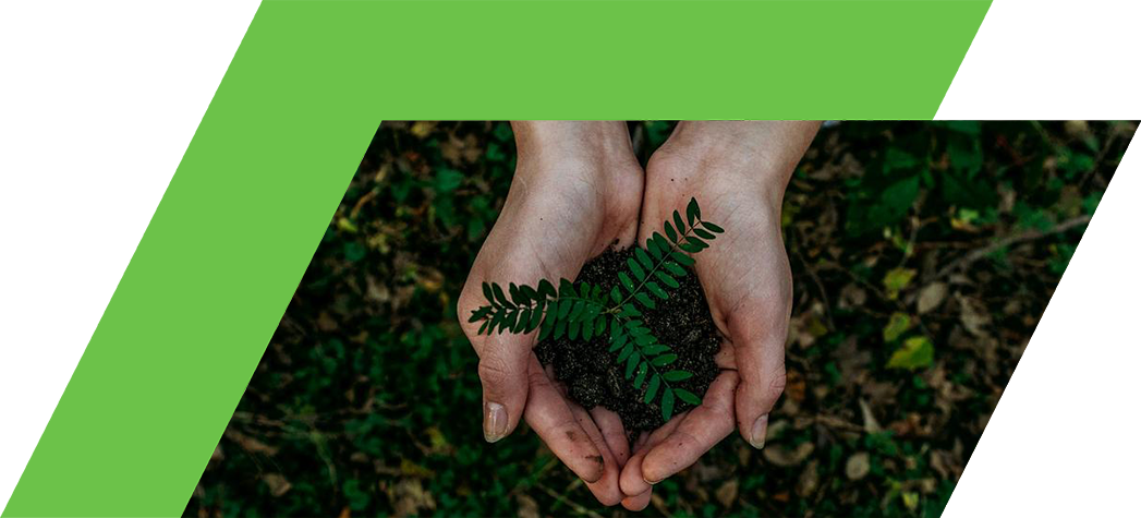 A person's hands gently hold soil with a small green plant growing from it, set against a backdrop of leaves and grass.