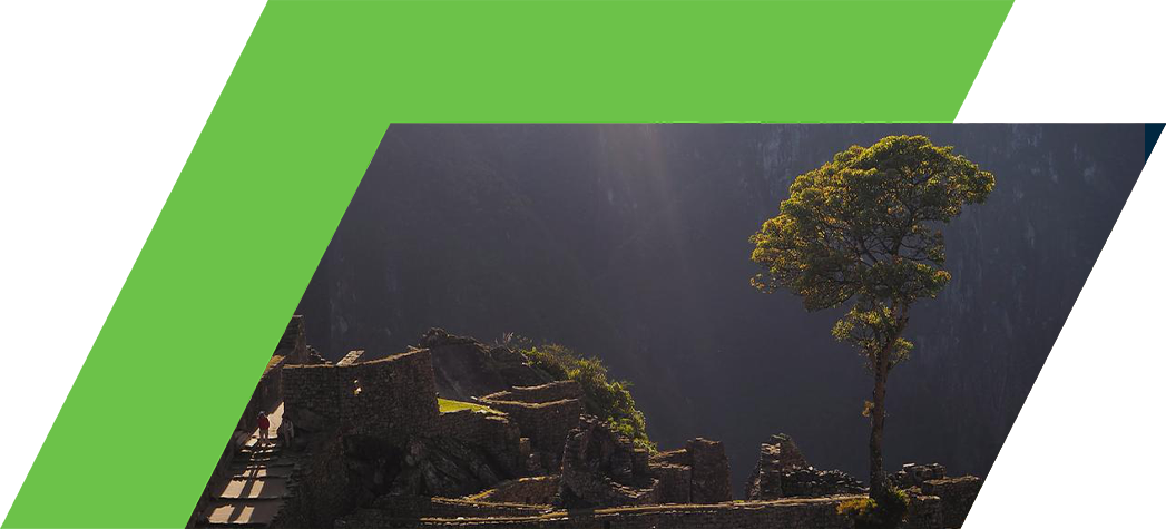 A lone tree stands among the ancient ruins of Machu Picchu, illuminated by sunlight filtering through the mountains.