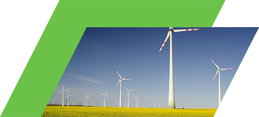 A landscape featuring several wind turbines against a blue sky and a field of yellow flowers.