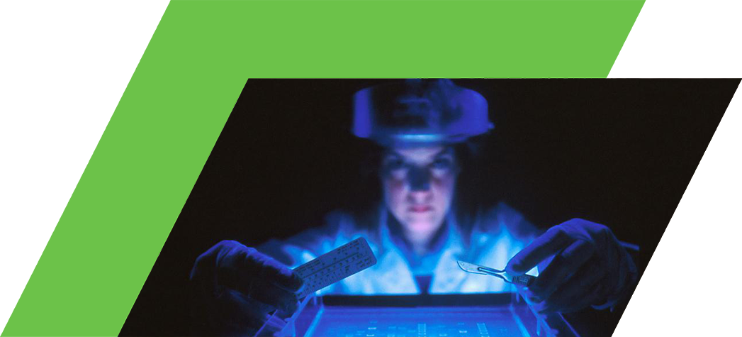 A scientist in a lab coat examines a glowing gel electrophoresis setup under blue light.