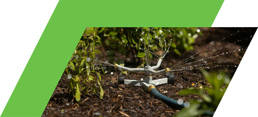 A garden sprinkler watering plants in a garden bed with mulch.