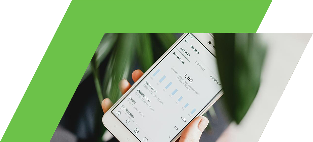 A person holding a smartphone displaying Instagram insights and analytics with green plant leaves in the background.