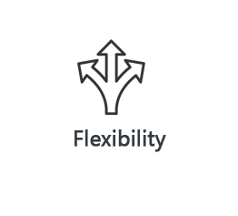 icon - Flexibility